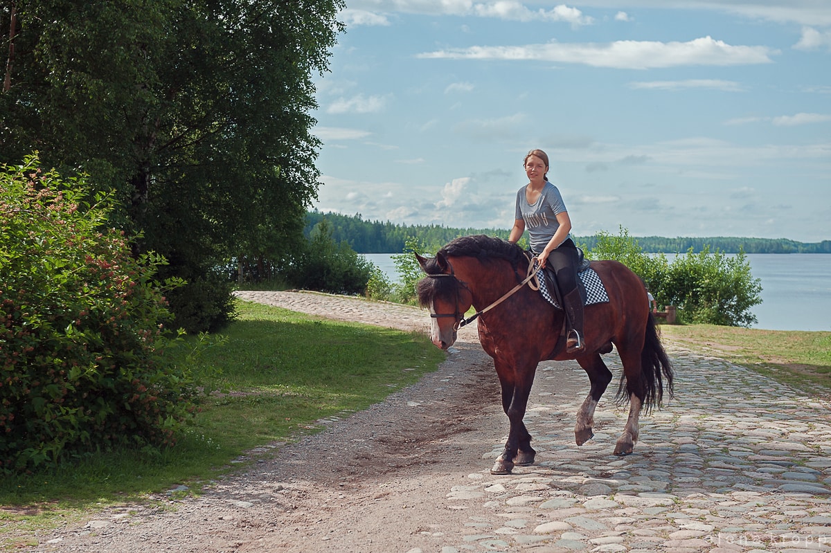 Прокат лошадей в деревне Мандроги | Мандроги Удивительная Деревня в Ленинградской области