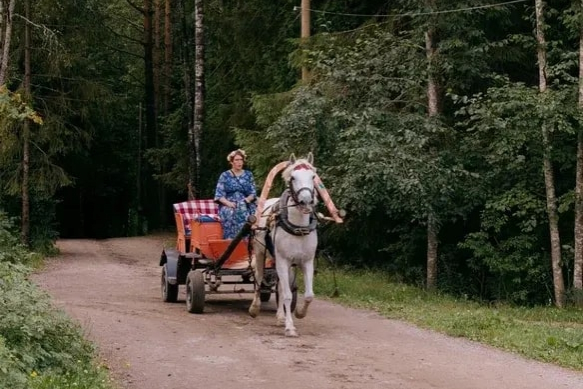 Уникальные экскурсии по деревне Мандроги | Мандроги Удивительная Деревня в Ленинградской области